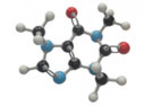 Model of a caffeine molecule